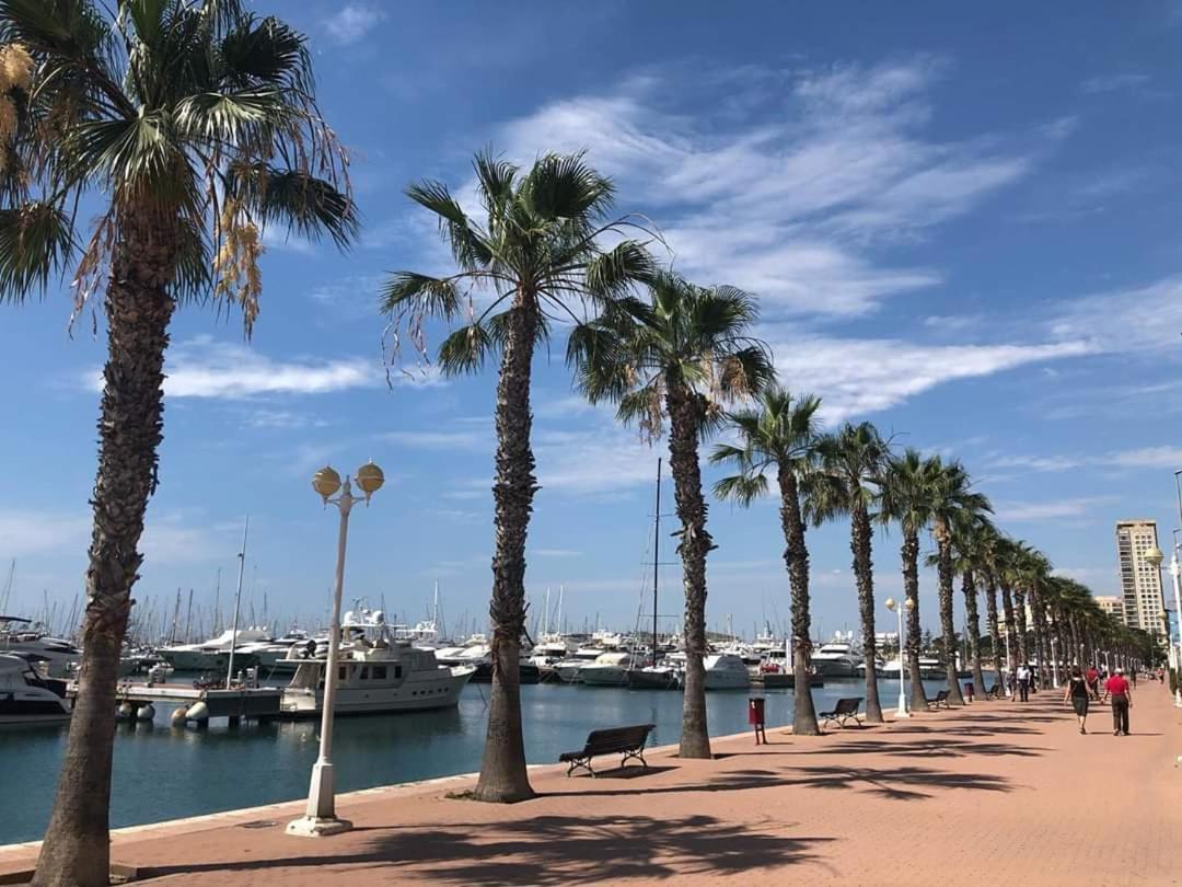 Estudio De Lujo Casaturis En El Corazon De Alicante A114 المظهر الخارجي الصورة